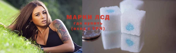 молекула духа Арсеньев