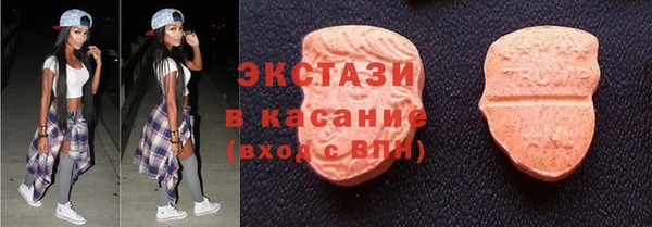 молекула духа Арсеньев
