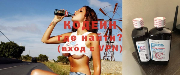 молекула духа Арсеньев