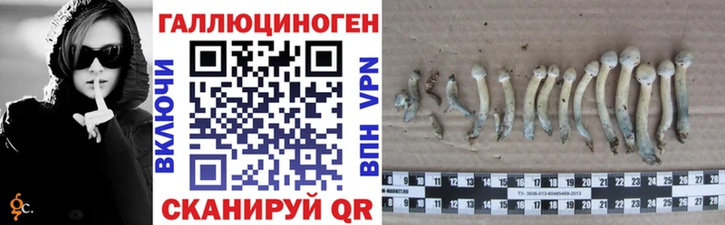 Псилоцибиновые грибы Psilocybe  купить наркотики сайты  Онега 